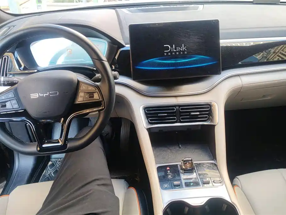 BYD PLUS New Energy 2023 — фото 12