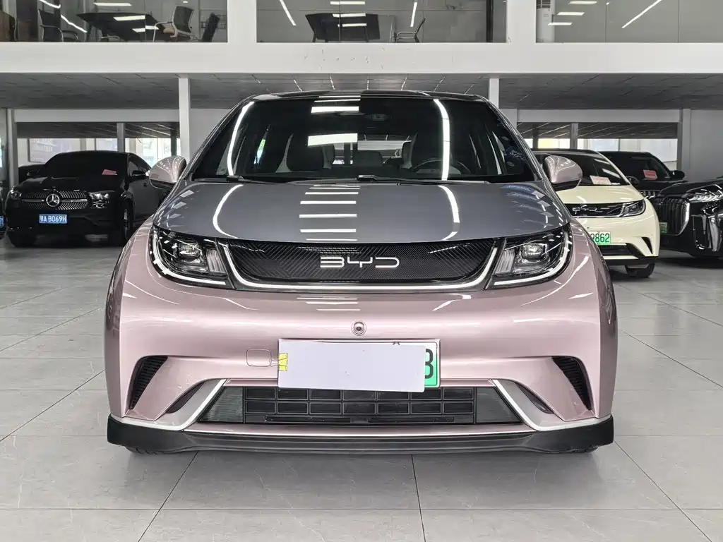 BYD Dolphin 2022