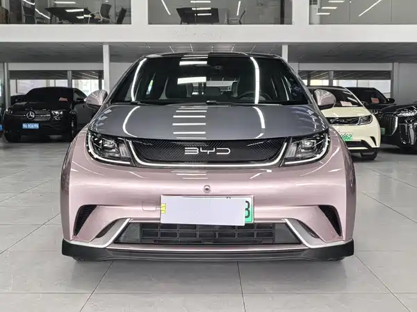BYD Dolphin 2022