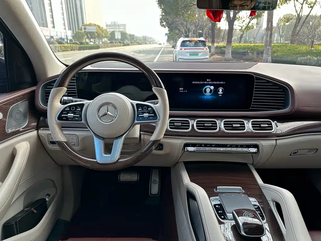 Mercedes-Benz GLS 2022 — фото 15