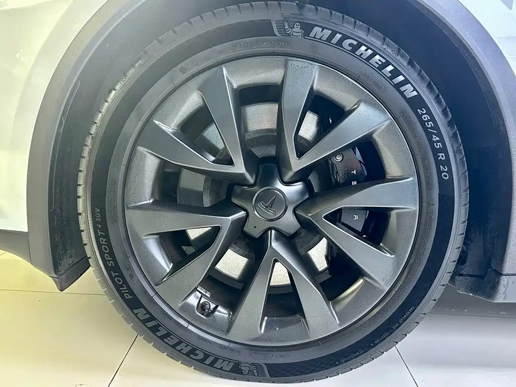 Tesla Model X 2023 — фото 15