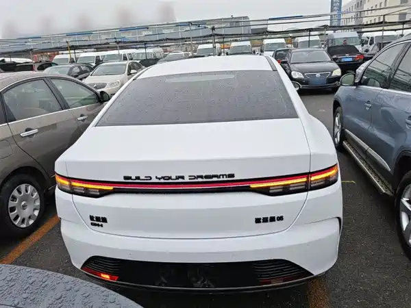 BYD Destroyer 05 2024
