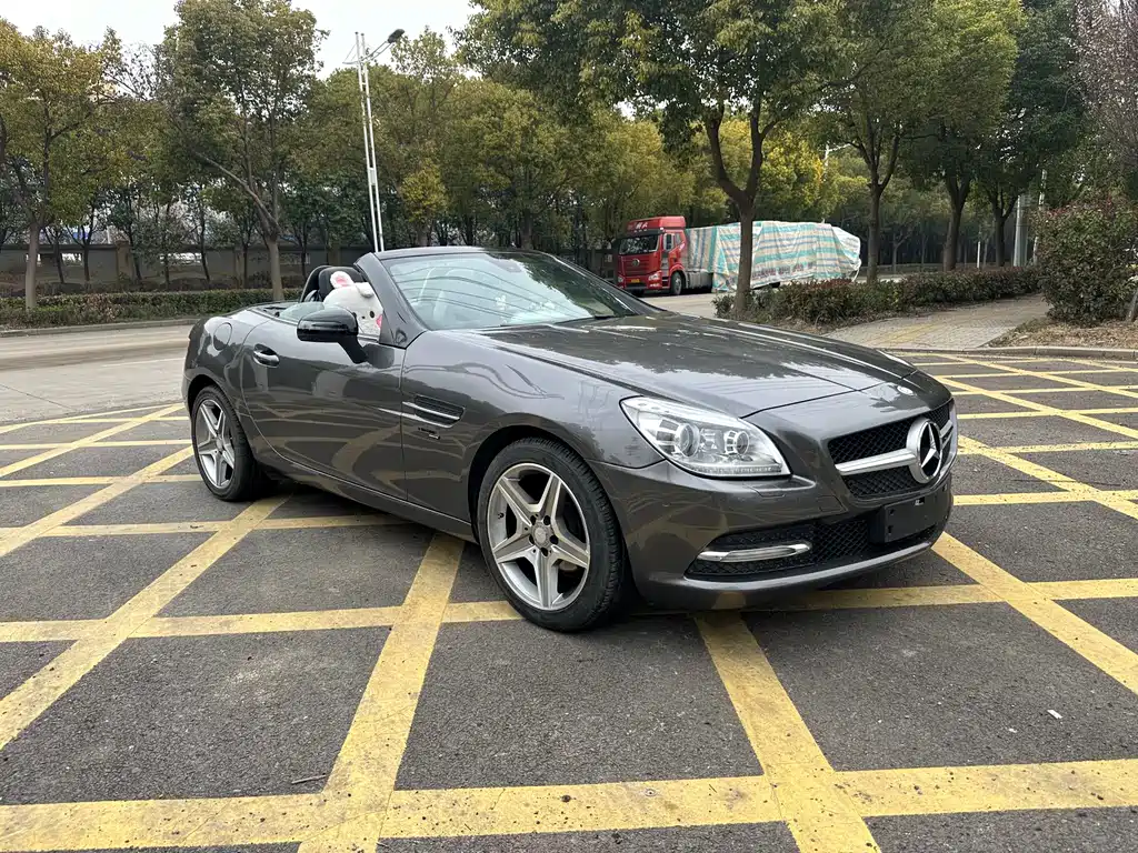 Mercedes-Benz SLK-Class 2012 — фото 9