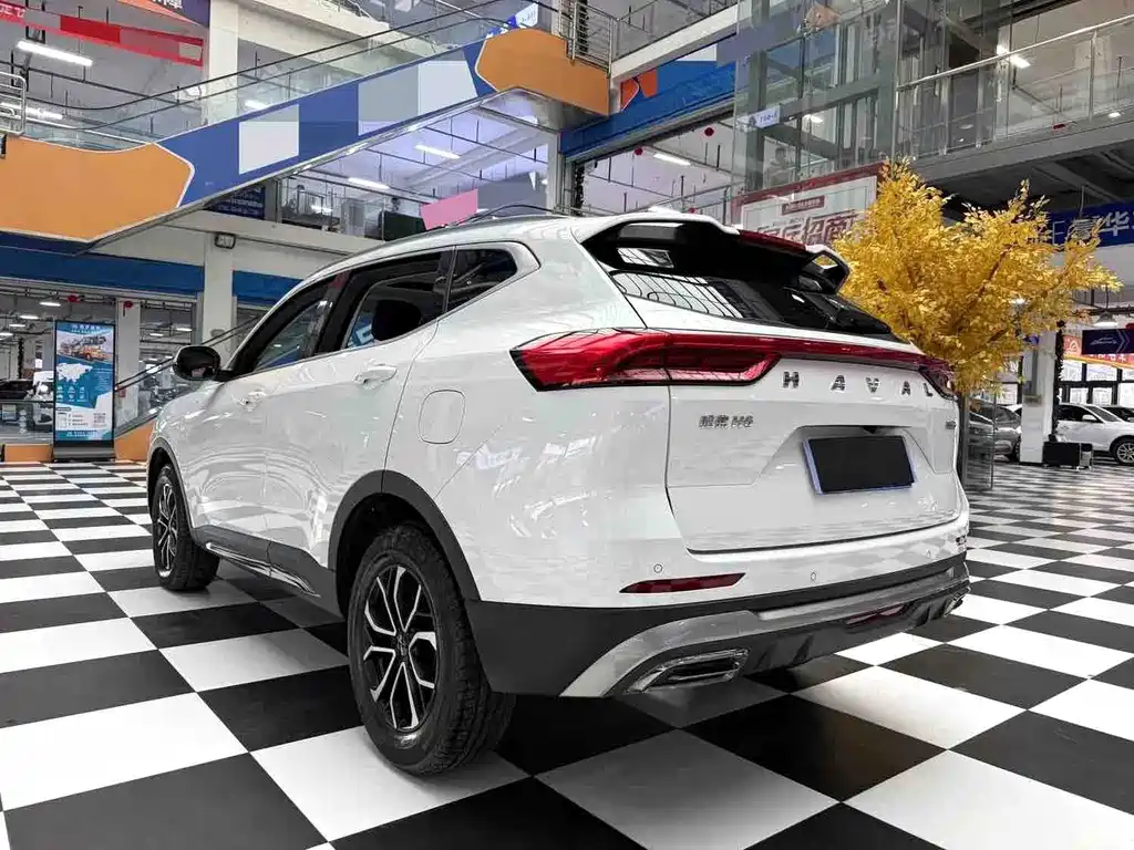 Haval H6 2022 — фото 18