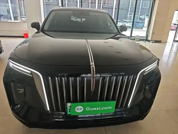 Hongqi E-HS9 2023