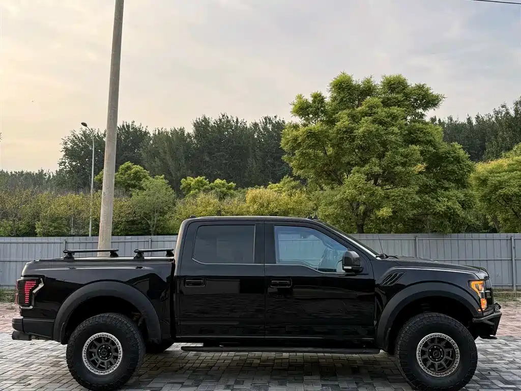 Ford F-150 Raptor 2019 — фото 9