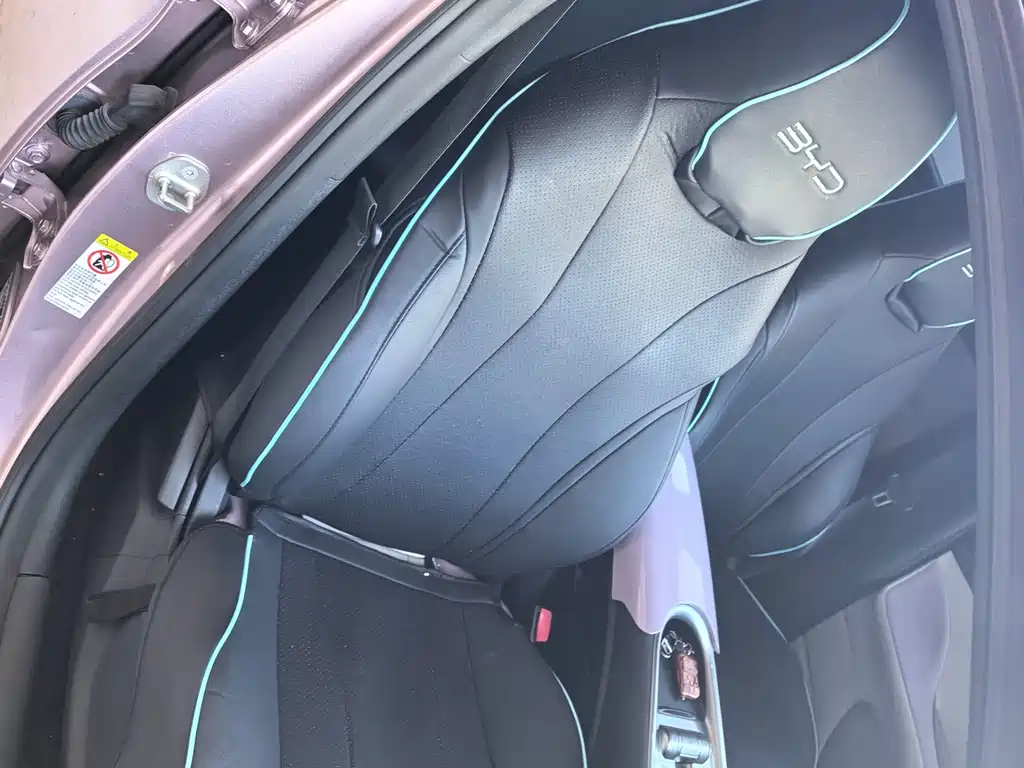 BYD Dolphin 2022