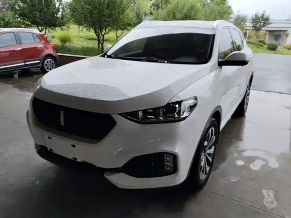 Wey VV6 2018