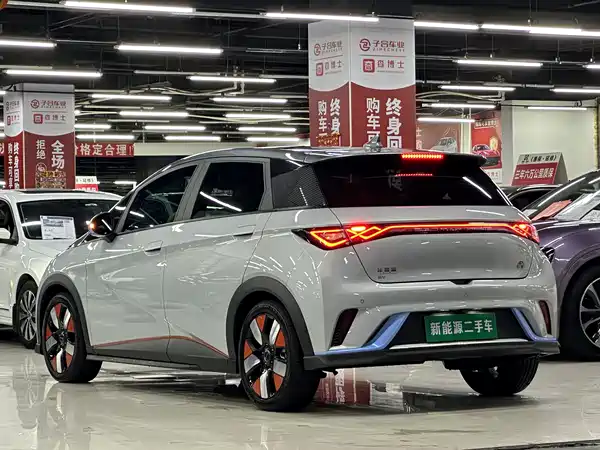BYD Dolphin 2022