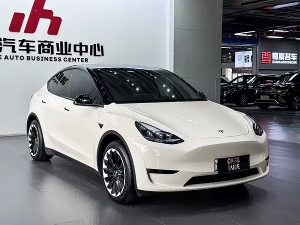 Tesla Model Y 2024