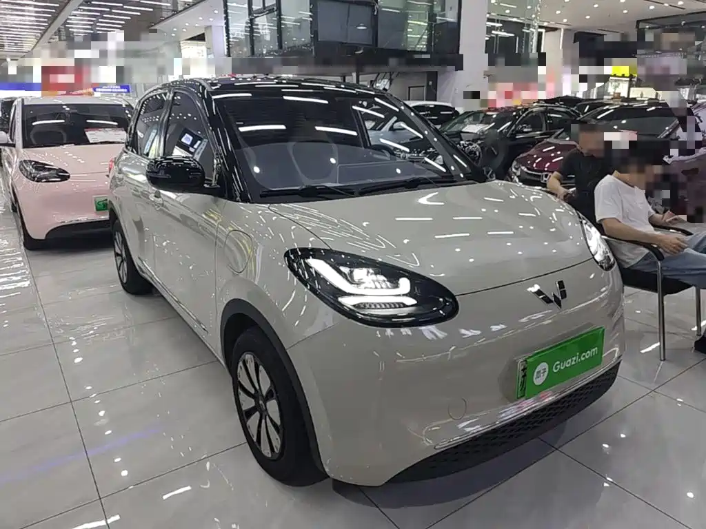 Wuling Bingo 2024