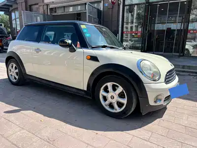 MINI MINI 2010