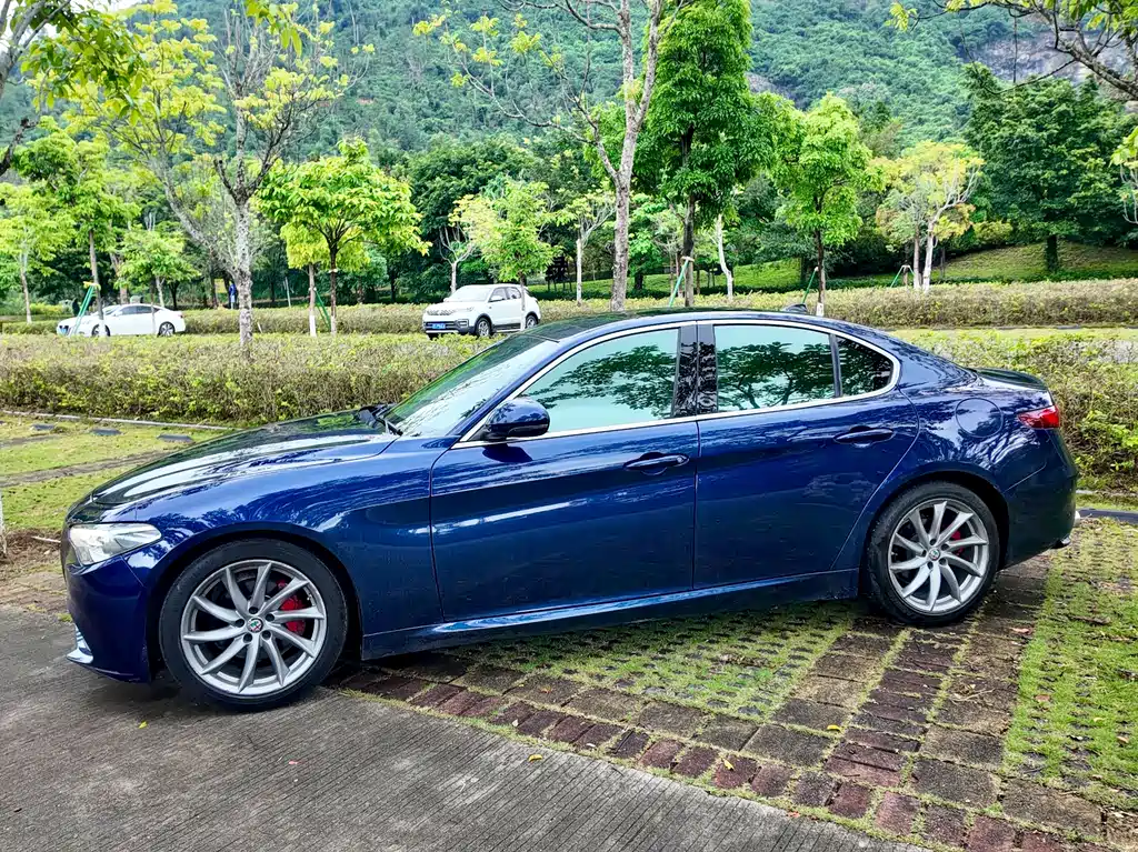 Alfa Romeo Giulia 2019 — фото 19
