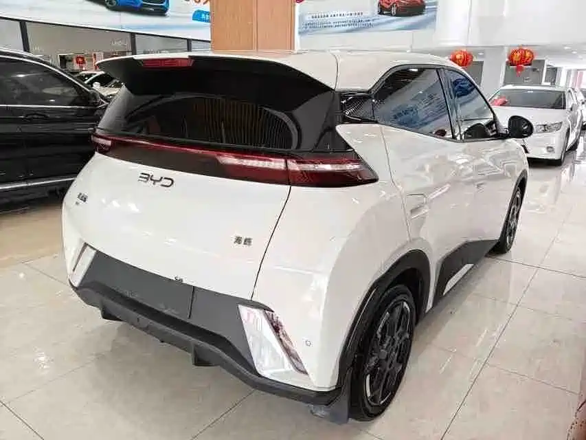 BYD Seagull 2024