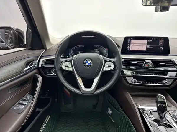 BMW 5 Series New Energy 2020