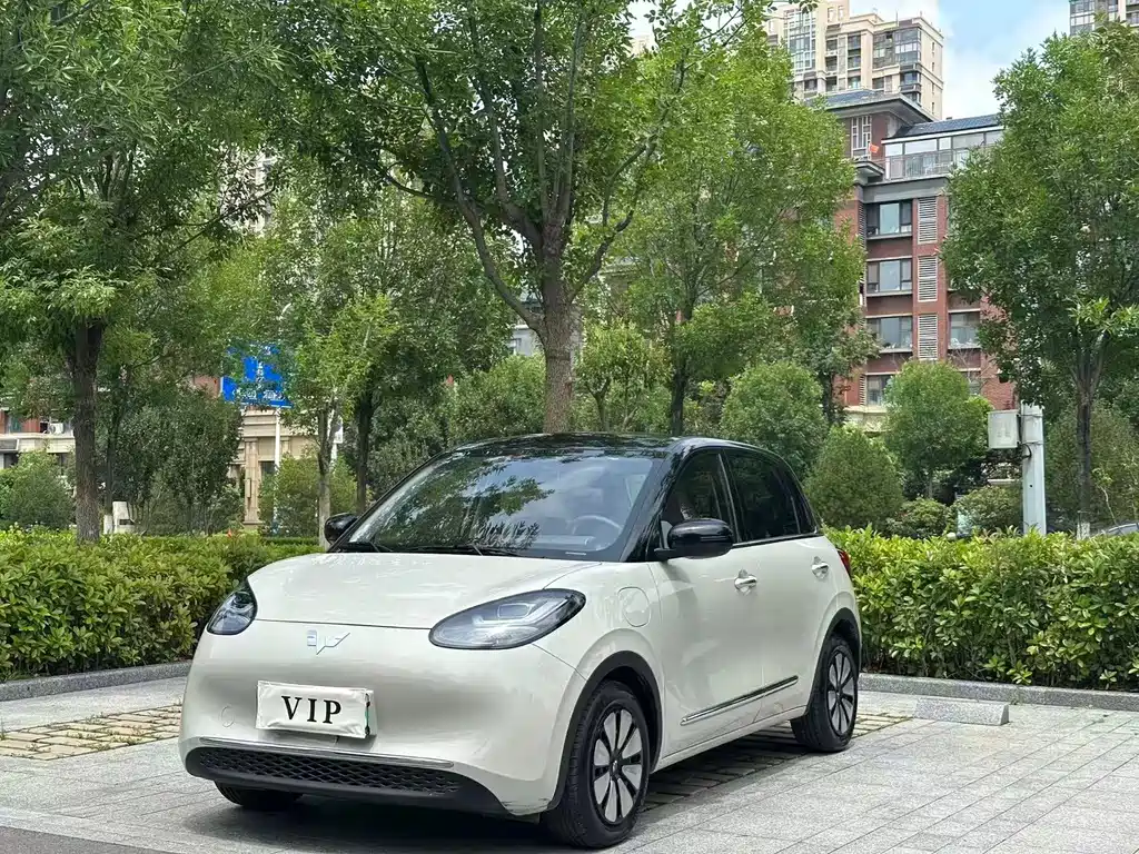 Wuling Bingo 2024