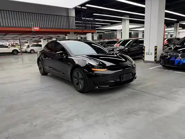 Tesla Model 3 2021