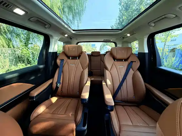 Hongqi HQ9 2023