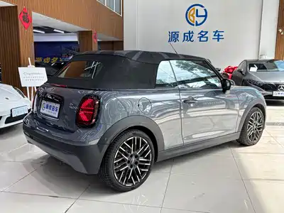 MINI MINI 2025