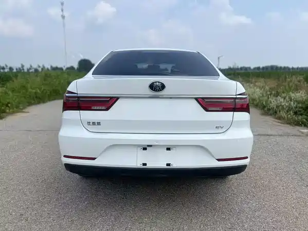 BYD Qin NEV 2020
