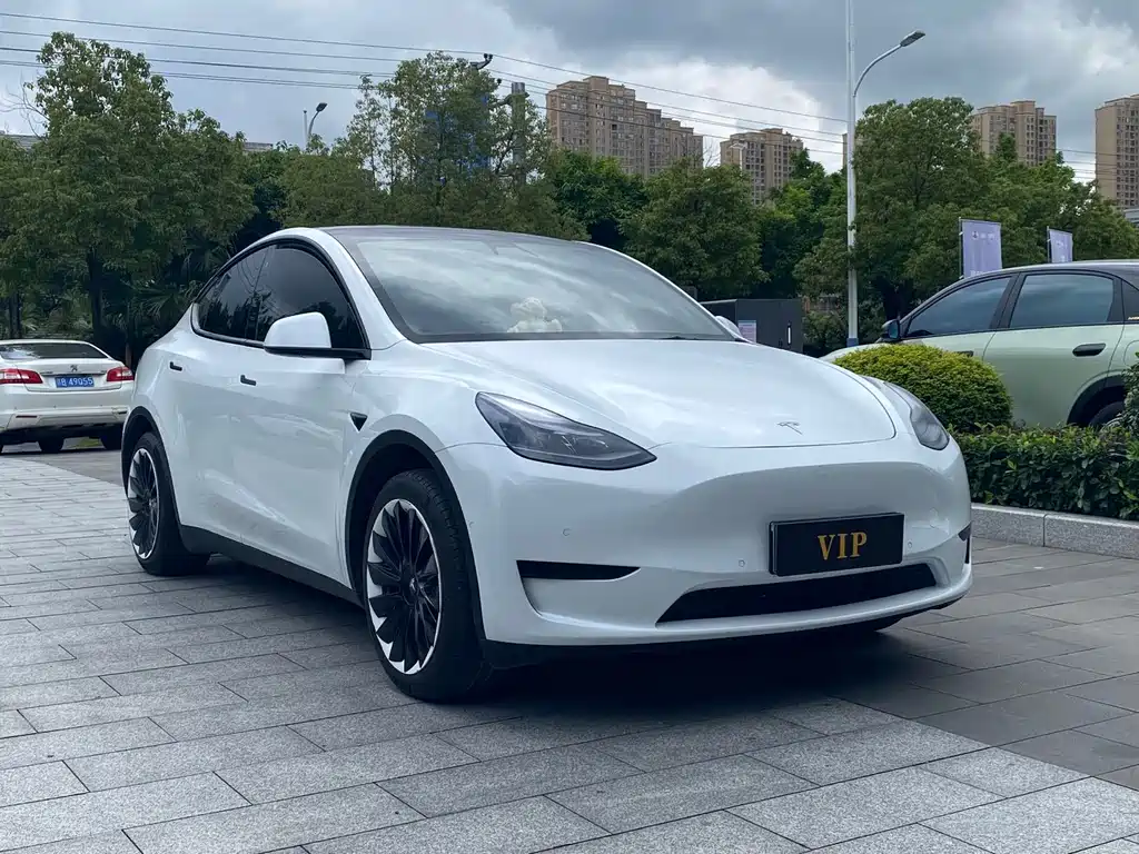 Tesla Model Y 2023 — фото 3