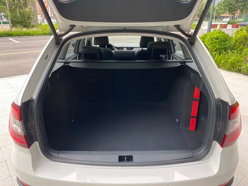 Skoda Octavia 2020 — фото 19