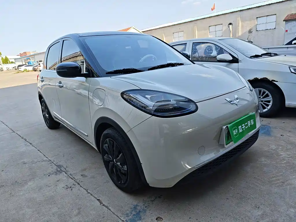Wuling Bingo 2024
