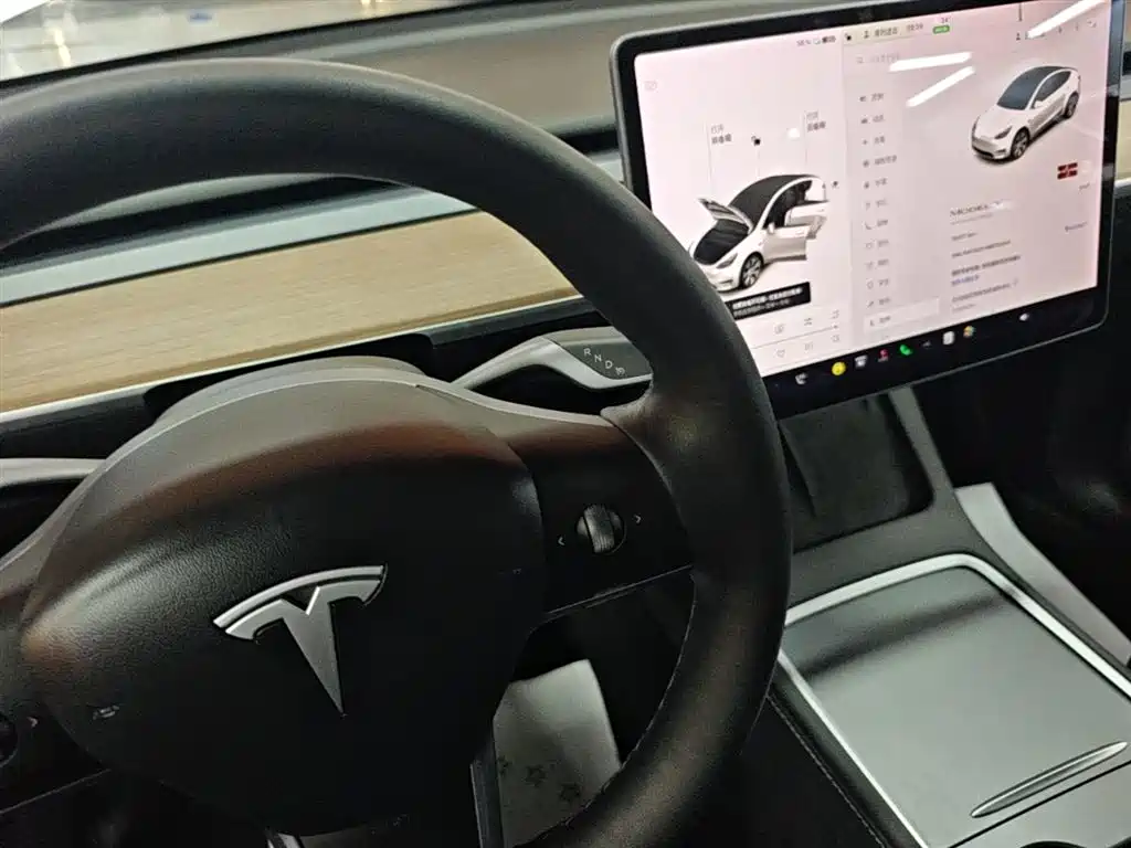 Tesla Model Y 2021 — фото 14