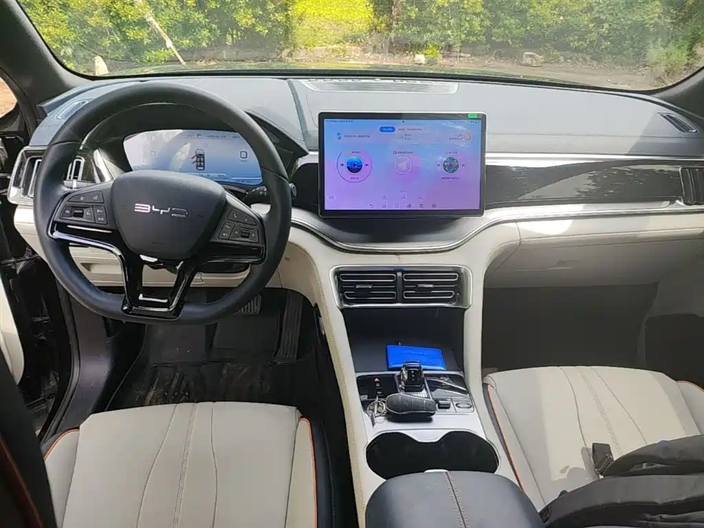 BYD PLUS New Energy 2024 — фото 10