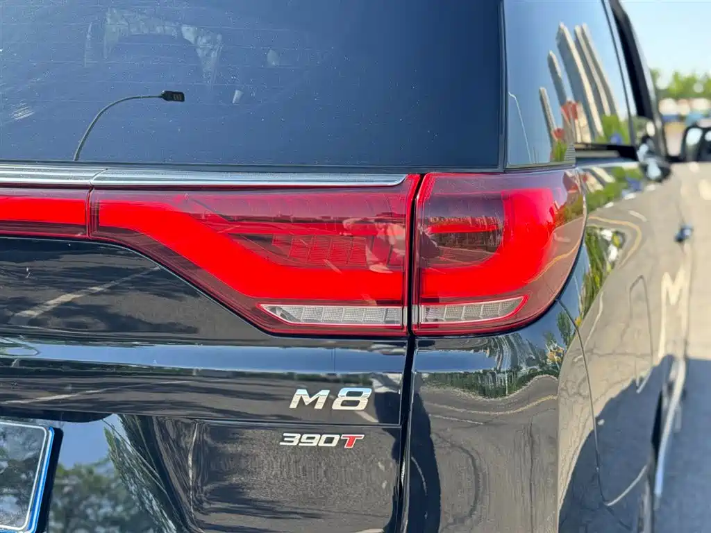 GAC Motor Trumpchi M8 2021 — фото 20