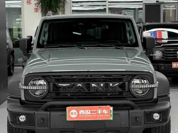 Tank 300 New Energy 2025