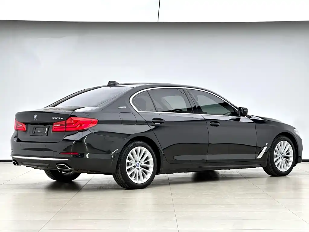 BMW 5 Series New Energy 2019
