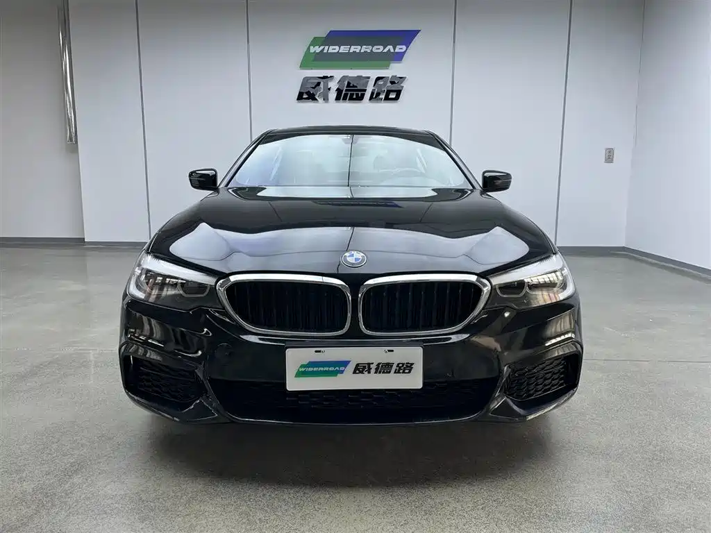 BMW 5 Series 2019 — фото 2