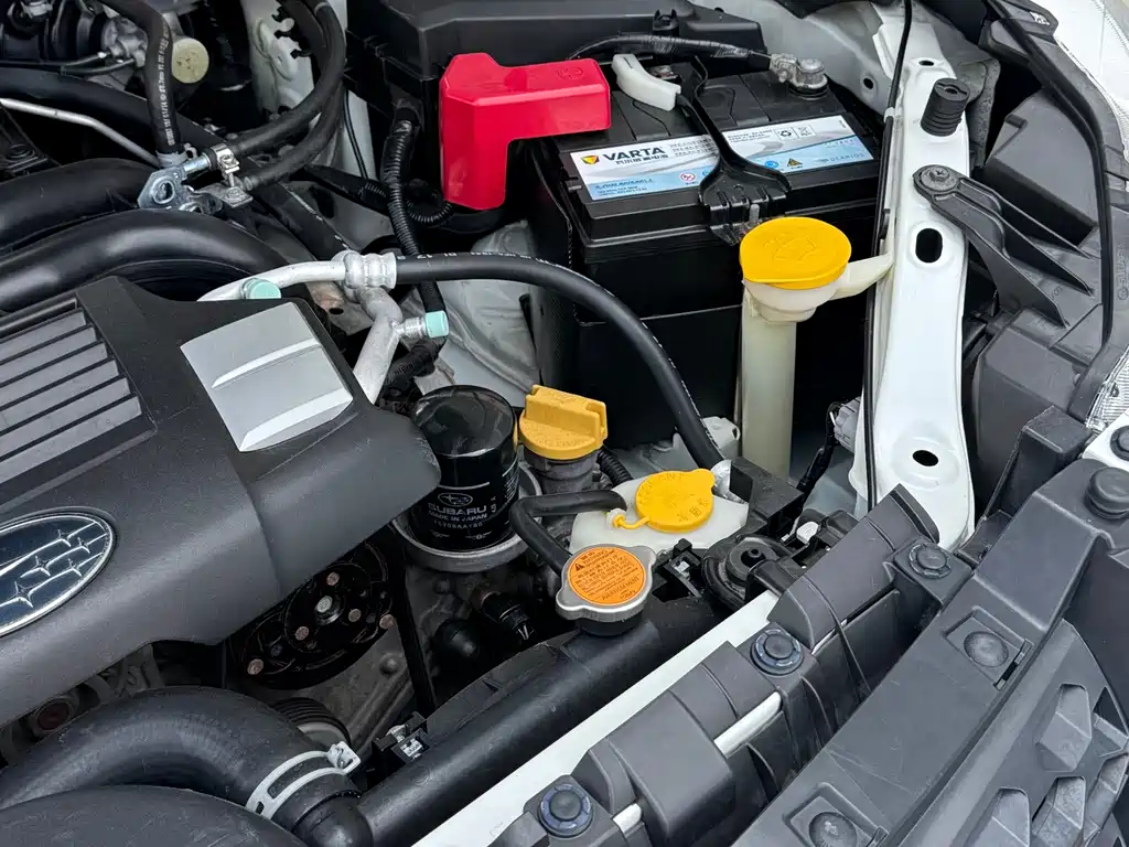 Subaru Forester 2015 — фото 27