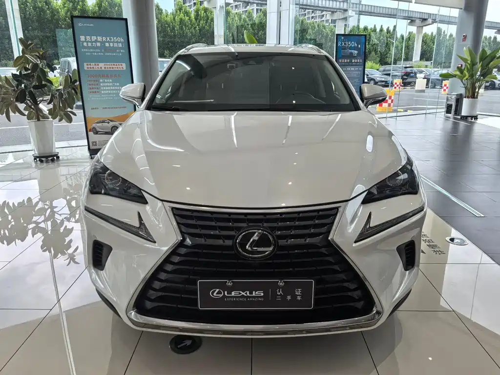 Lexus NX 2021 — фото 2