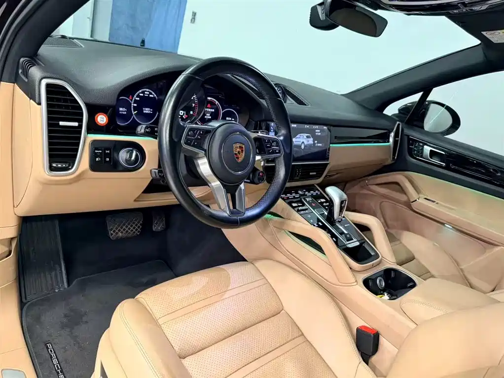 Porsche Cayenne Hybrid 2020 — фото 13