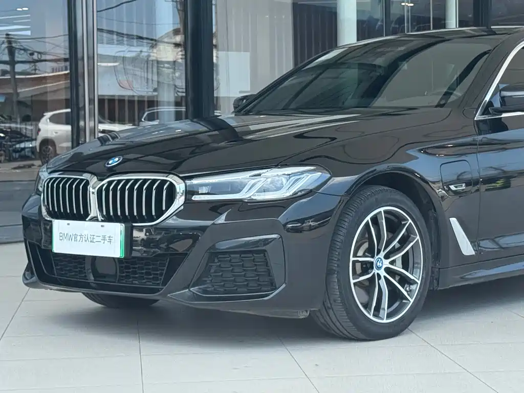BMW 5 Series New Energy 2022