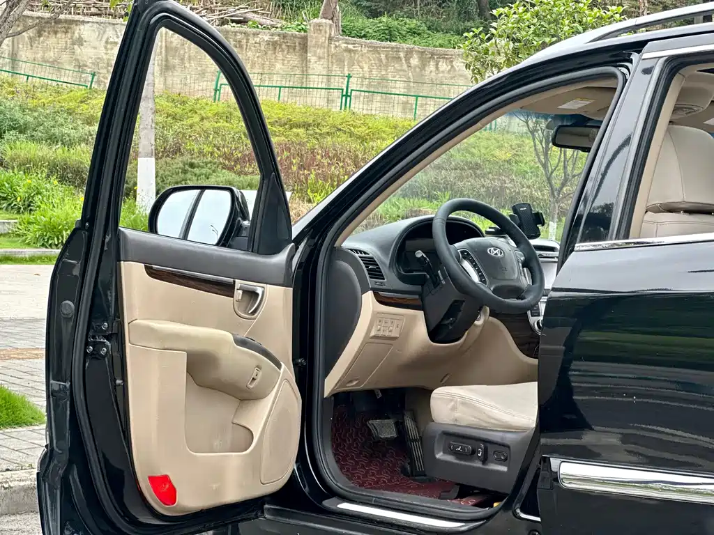 Hyundai Santa Fe Classic 2011 — фото 19
