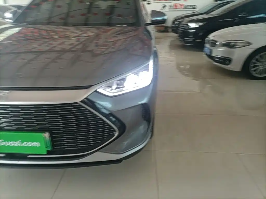 BYD Song PLUS New Energy 2023 — фото 24