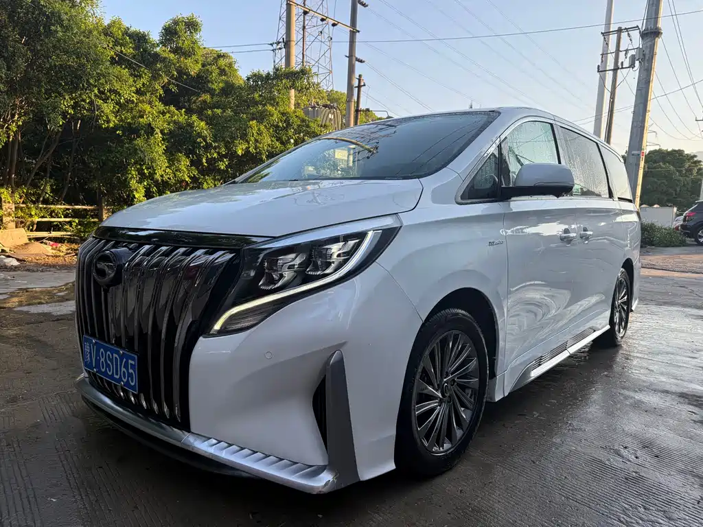 GAC Motor Trumpchi M8 2021 — фото 1