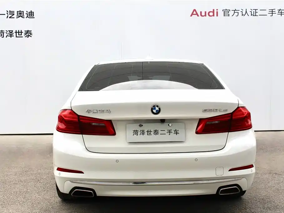BMW 5 Series New Energy 2020