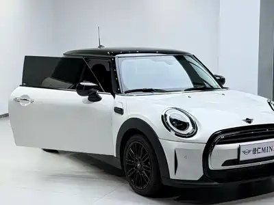 MINI MINI 2024