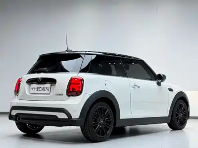 MINI MINI 2024