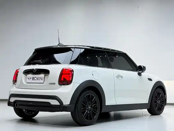 MINI MINI 2024