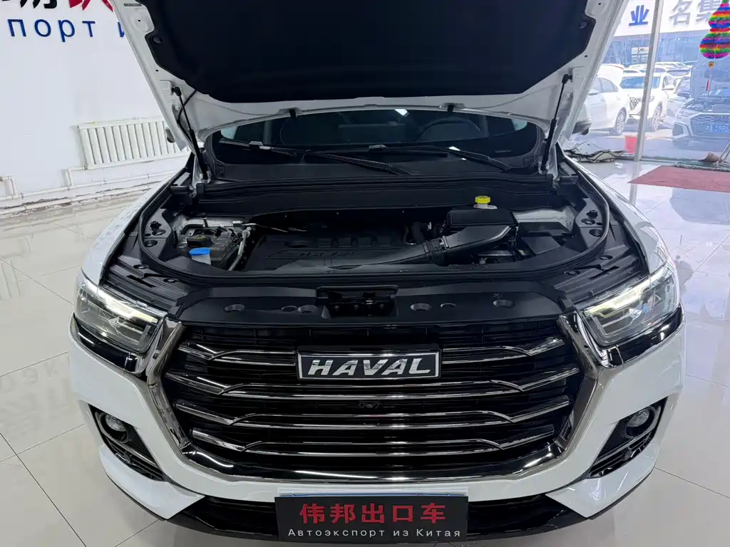Haval H6 2023 — фото 22