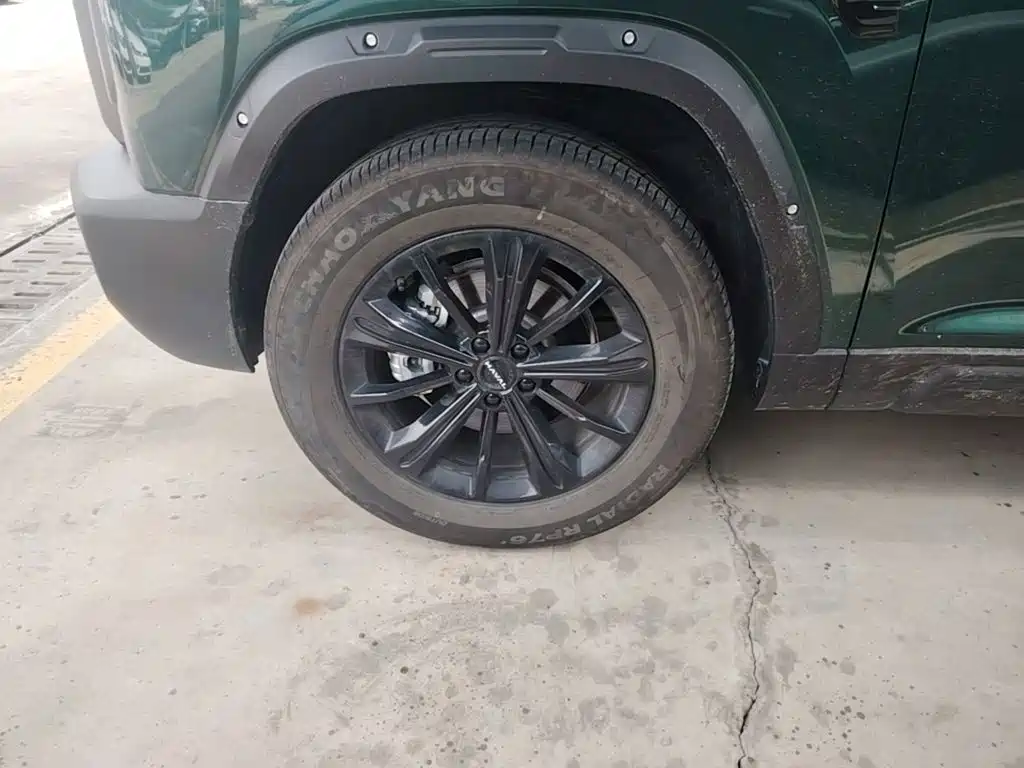 Haval Raptor 2025 — фото 25