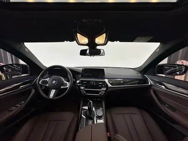 BMW 5 Series 2019