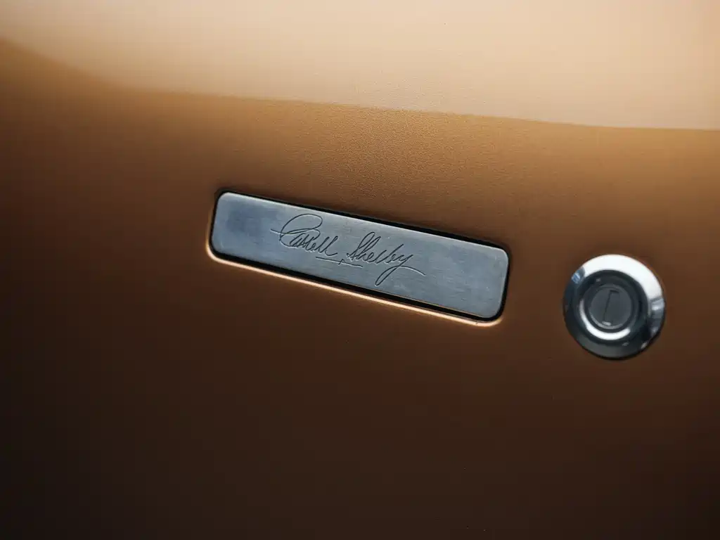 SHELBY  2020 — фото 15