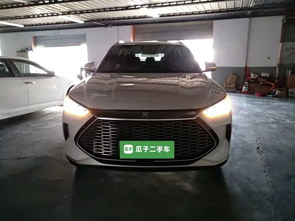 BYD PLUS New Energy 2023 — фото 3