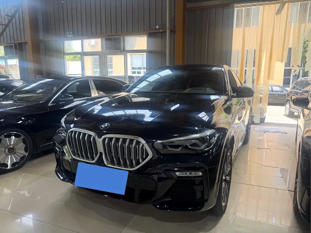 BMW X6 2020